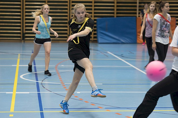 Sport